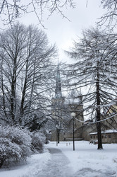 Similar image 22365080