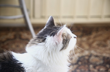 Similar image 22375162