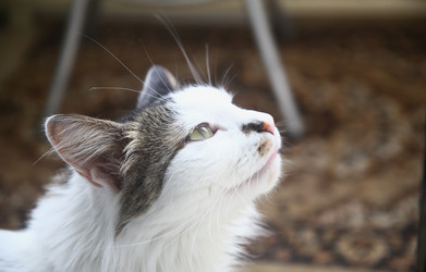 Similar image 22375165