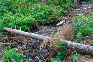 Similar image 22359360