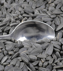 Similar image 22379084