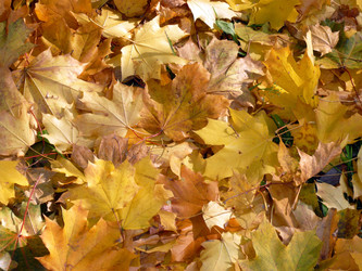 Similar image 22379099