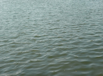 Similar image 22379158