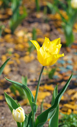 Similar image 22379205