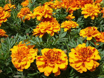 Similar image 22379294