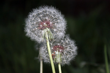 Similar image 22359388