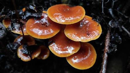 Similar image 22359390