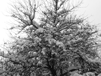 Similar image 22359329