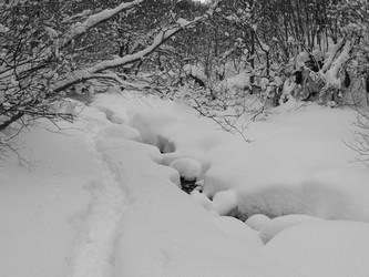 Similar image 22359330