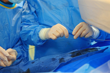 Similar image 22377899