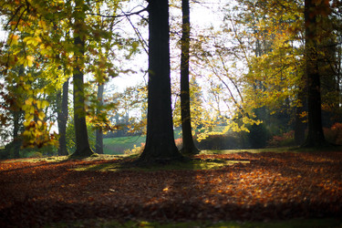 Similar image 22374670