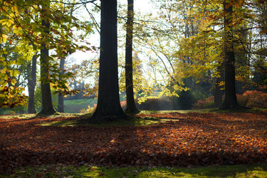 Similar image 22374684