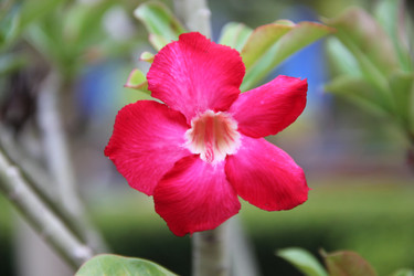 Similar image 22359548