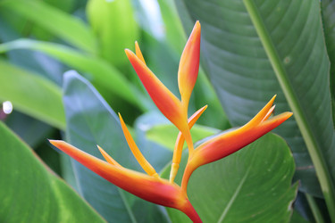 Similar image 22359549