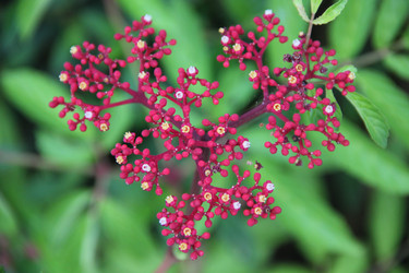 Similar image 22359551