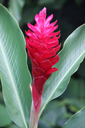 Similar image 22359552