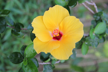 Similar image 22359553