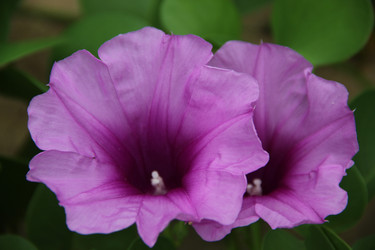 Similar image 22359327