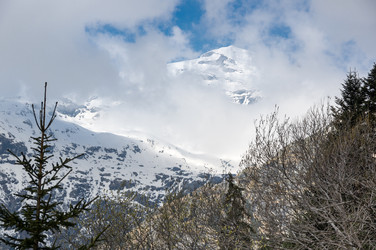 Similar image 22365146