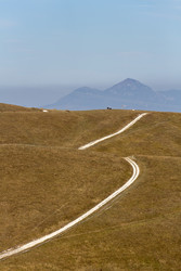 Similar image 22365416