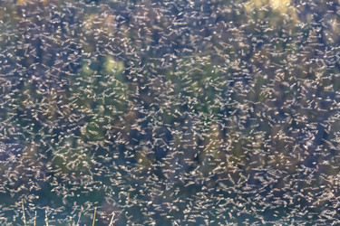 Similar image 22365491