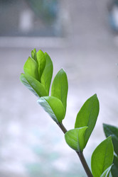 Similar image 22360853