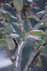 Similar image 22360874