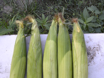 Similar image 22360875