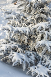 Similar image 22359561