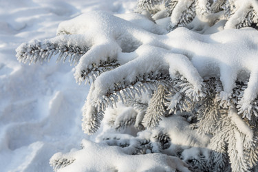 Similar image 22359562