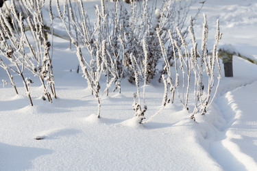 Similar image 22359563