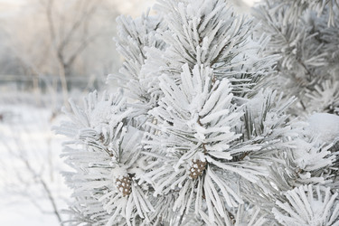 Similar image 22359564