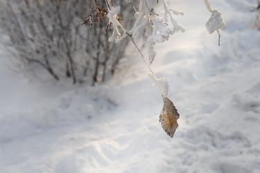 Similar image 22359565