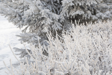 Similar image 22359566