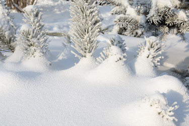 Similar image 22359567