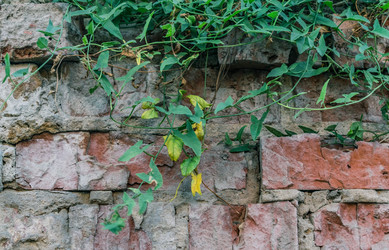 Similar image 22385768