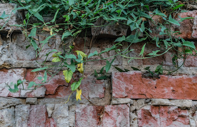 Similar image 22377226