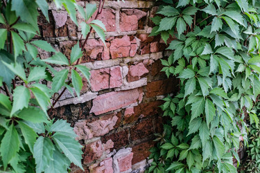 Similar image 22359537