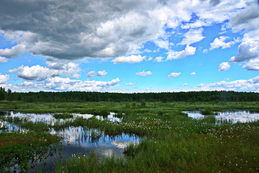 Similar image 22360927