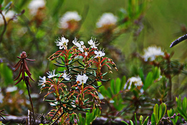 Similar image 22360928