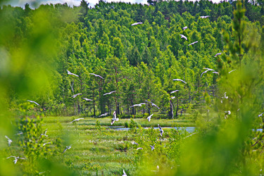 Similar image 22360930