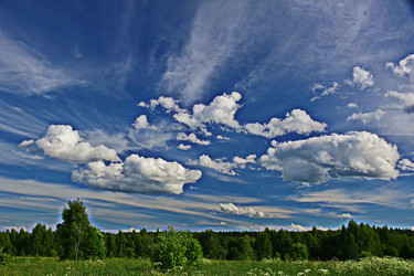 Similar image 22359837