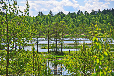 Similar image 22359838