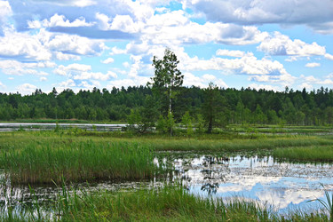 Similar image 22359839