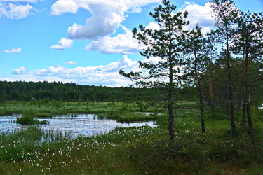 Similar image 22359840