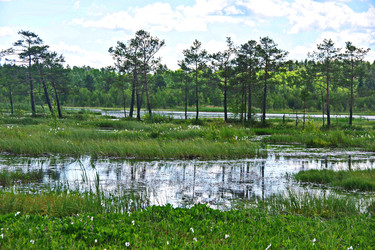 Similar image 22359841