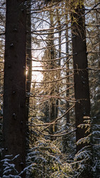 Similar image 22359535