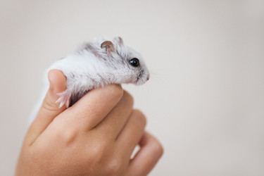 Similar image 22377798