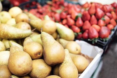 Similar image 22377572