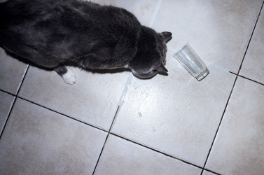 Similar image 22377605